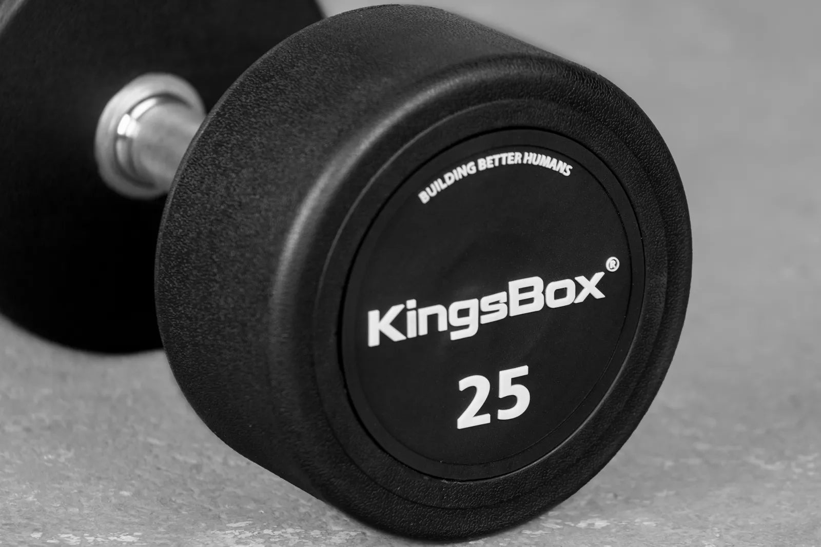 Royal Urethane Round Dumbbells